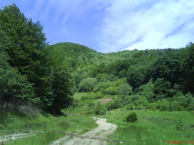 DSC00181.JPG, 344 KB