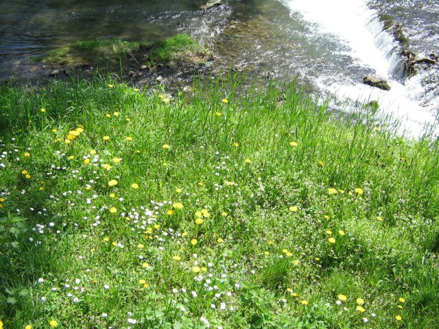 IMG_1379.JPG, 654 KB