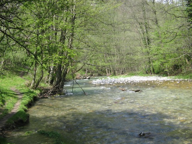 IMG_1439.JPG, 1003 KB