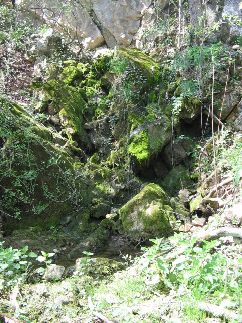 IMG_1445.JPG, 1 MB