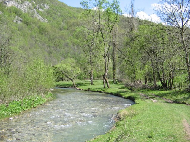 IMG_1453.JPG, 982 KB