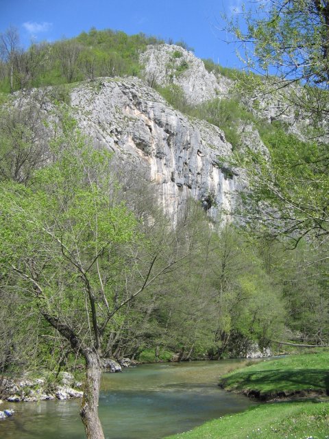 IMG_1454.JPG, 1000 KB