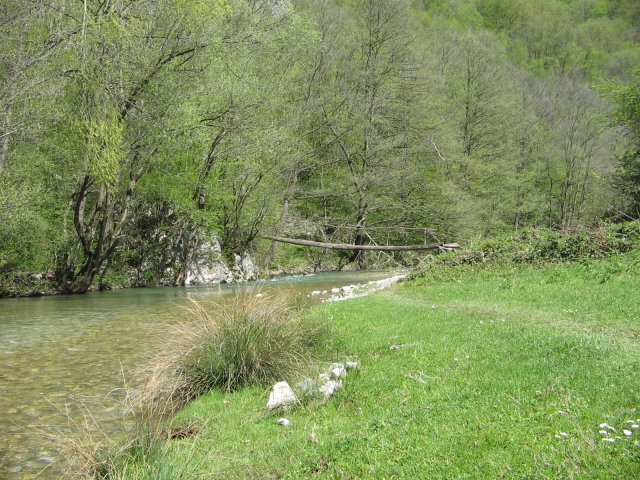 IMG_1456.JPG, 1.1 MB
