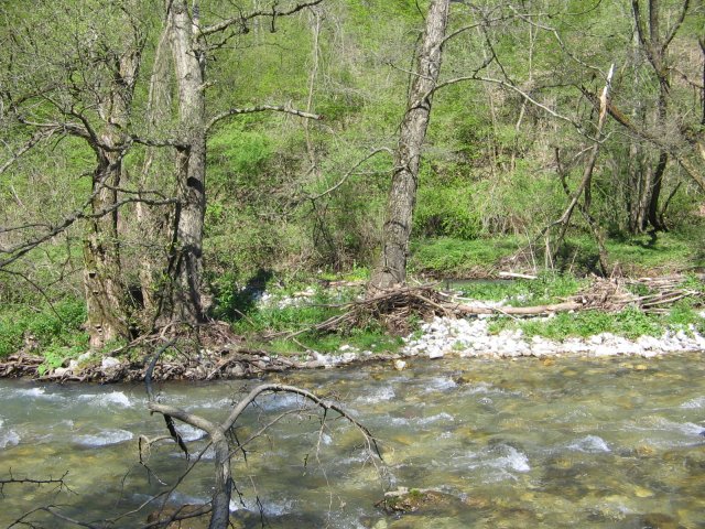 IMG_1461.JPG, 1.1 MB