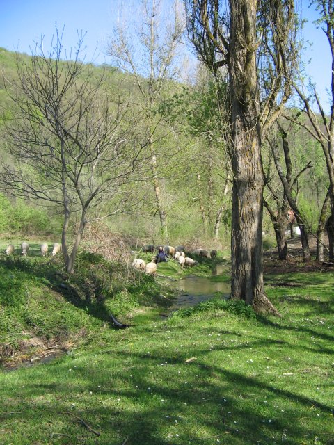 IMG_1470.JPG, 1 MB